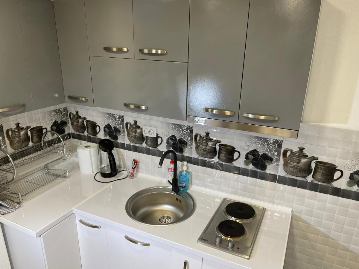 Bora Apartmani - Free Parking - City Center فرانيي المظهر الخارجي الصورة